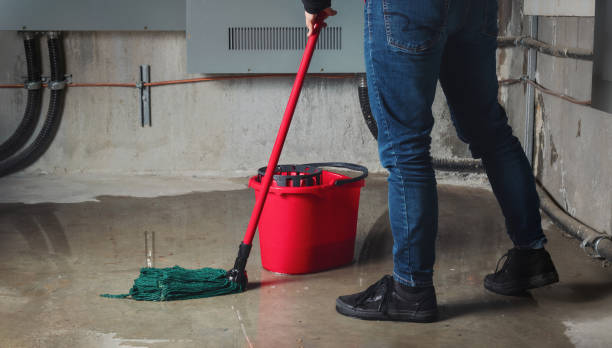 Best Flooded house restoration  in Georgetown, KY