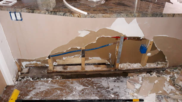 Best Mold removal after water damage  in Georgetown, KY