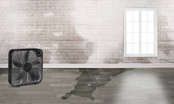 Best 24-hour water damage restoration  in Georgetown, KY