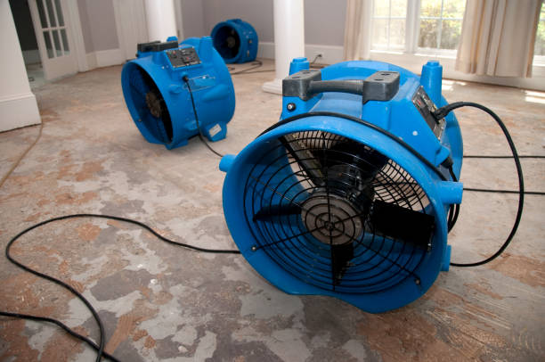 Best Professional water damage repair  in Georgetown, KY