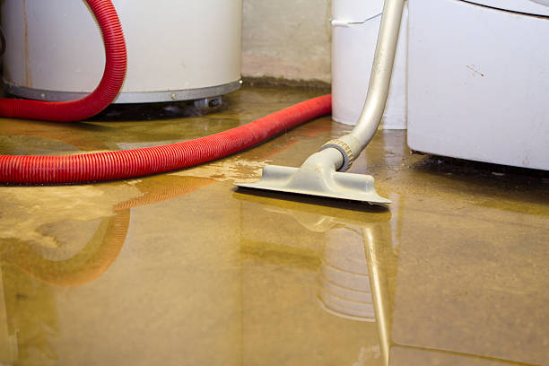 Carpet water damage restoration in KY