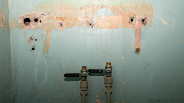  Georgetown, KY Water damage restoration Pros